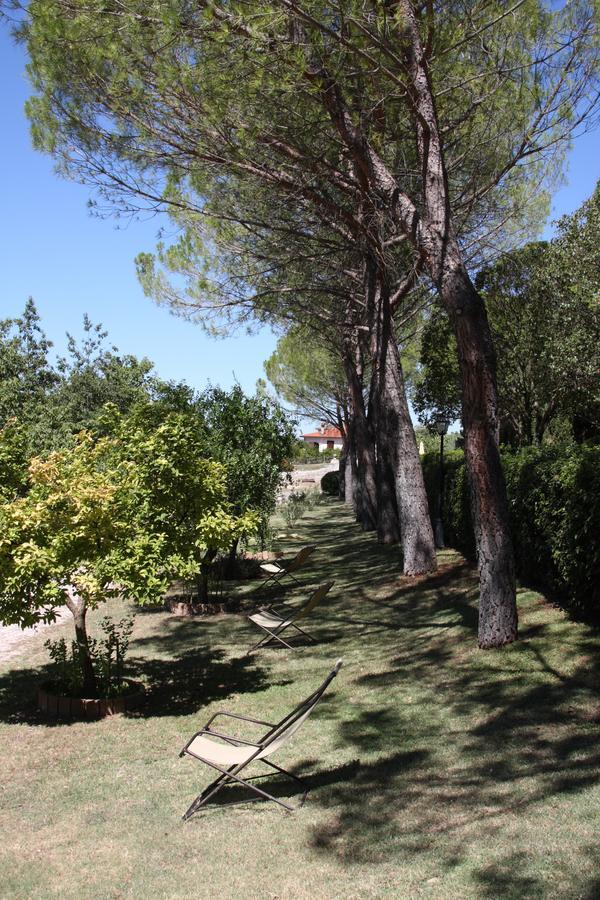 Villa Del Cardinale Σπολέτο Εξωτερικό φωτογραφία